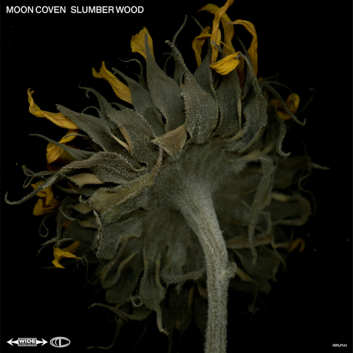 Slumber Wood by Moon Coven