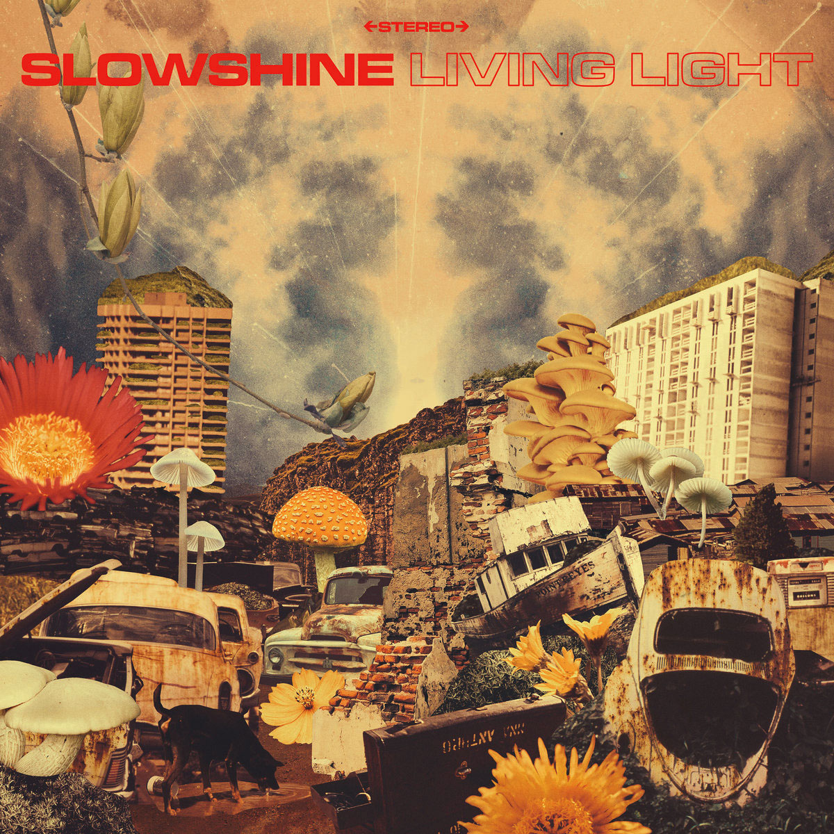 Slowshine - Living Light
