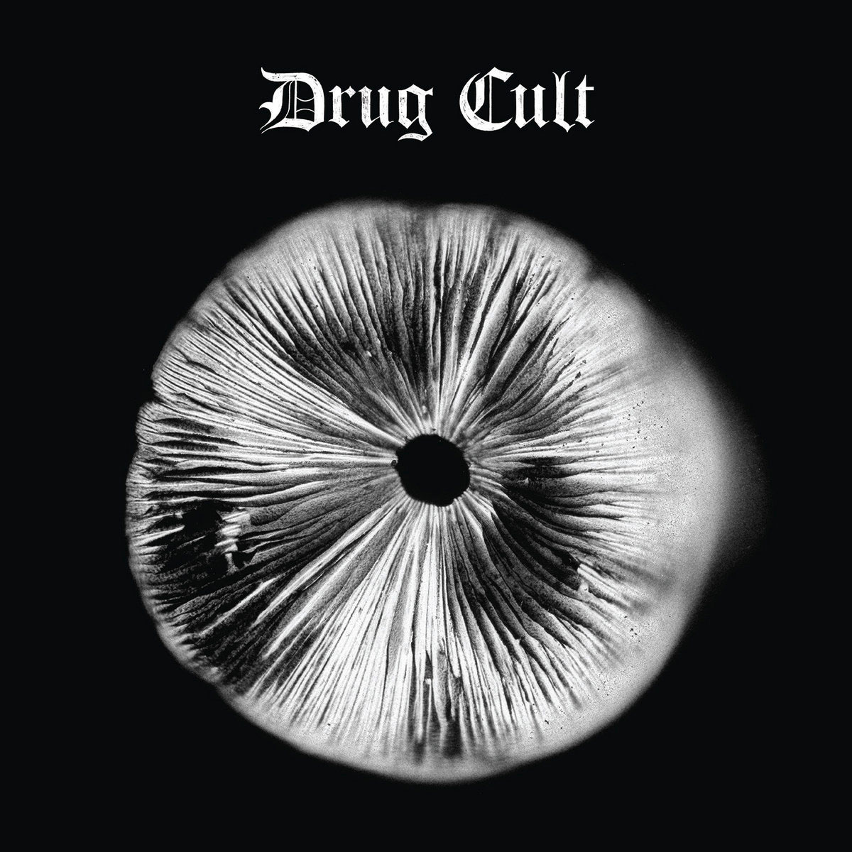 Drug Cult by Drug Cult