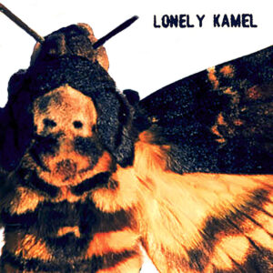 Lonely Kamel - Death's-Head Hawkmoth