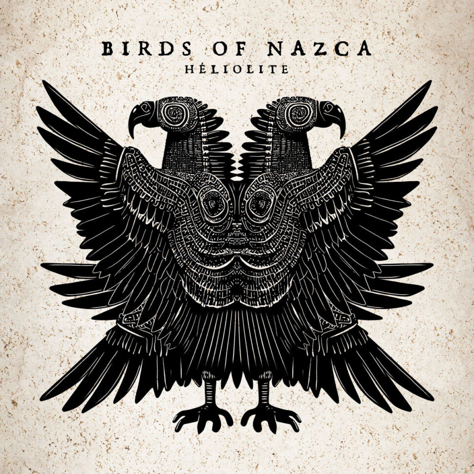 Birds of Nazca