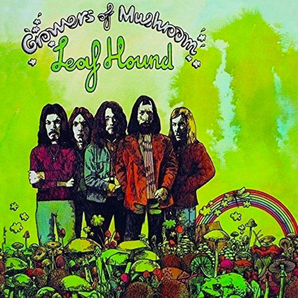 Leaf Hound - Growers of Mushroom