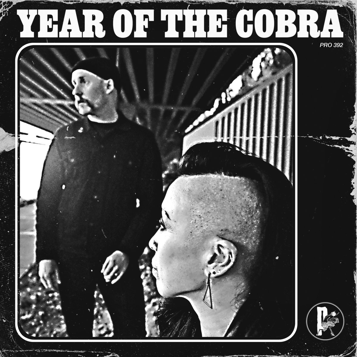 Year of the Cobra by Year of the Cobra