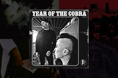 Under the Influence - Year of the Cobra