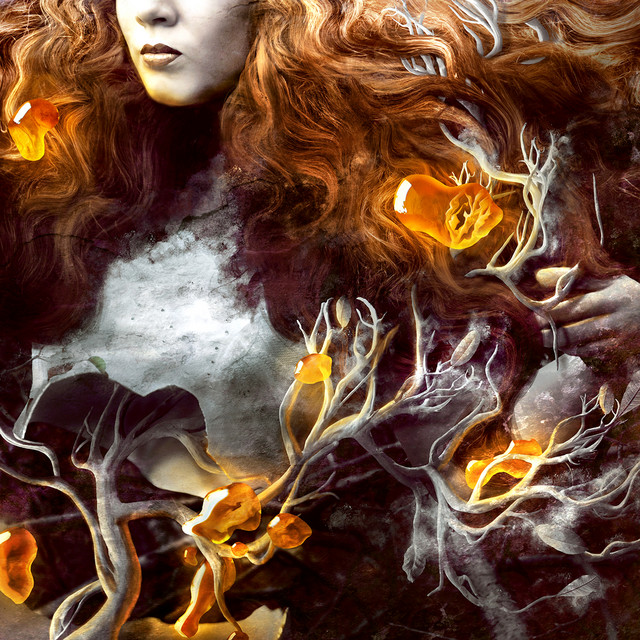 Swan Valley Heights by Swan Valley Heights