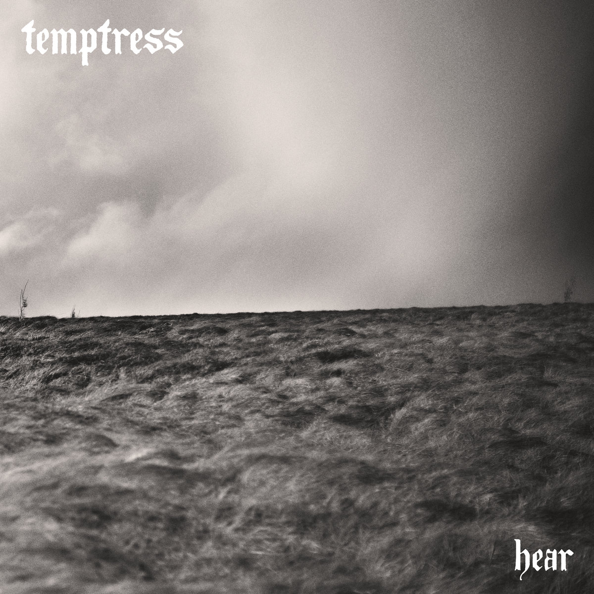 hear by Temptress