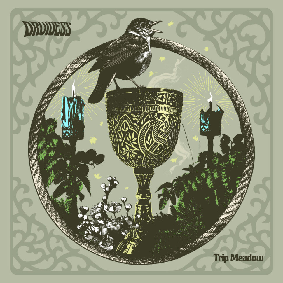Trip Meadowby 