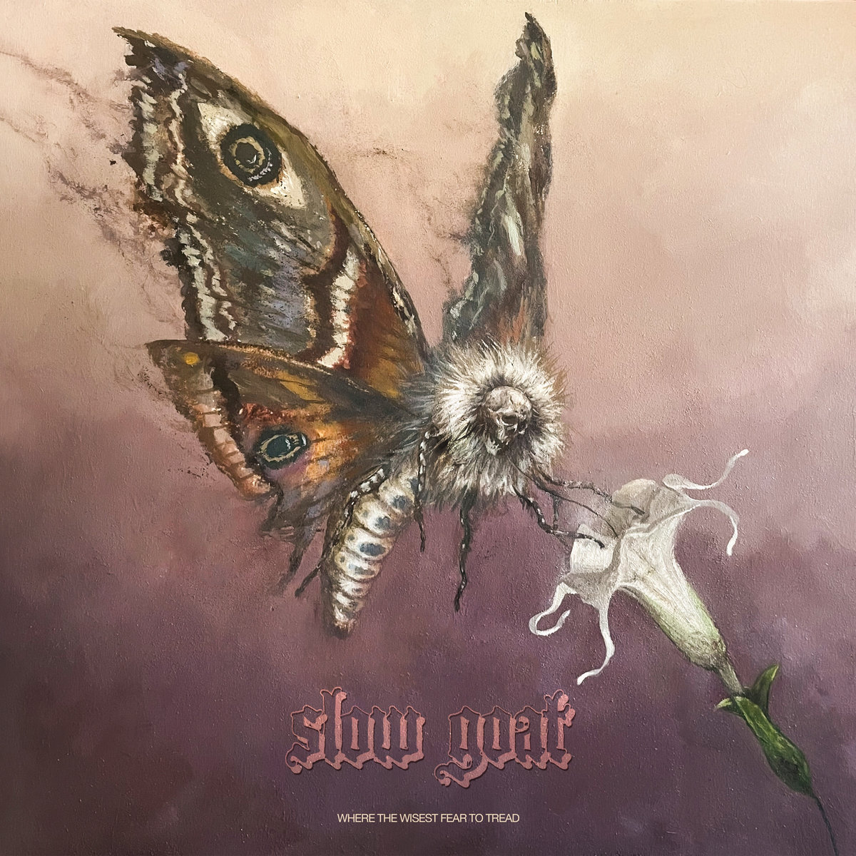Where the Wisest Fear to Tread by Slow Goat